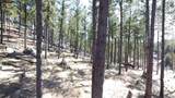 1050 Bishop Mountain Drive - Photo 11