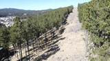 1050 Bishop Mountain Drive - Photo 12