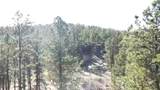 1050 Bishop Mountain Drive - Photo 7