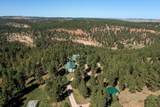 24587 Outback Trail - Photo 28