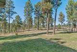 24587 Outback Trail - Photo 6