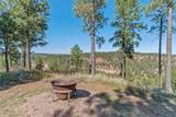 24587 Outback Trail - Photo 7