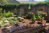420 Belmont Drive - Photo 11