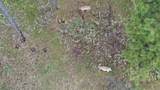 TBD Lot 1 Sun Ridge Road - Photo 7