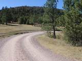 250 Salt Creek Road - Photo 3