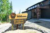 11262 Overlook Pass - Photo 3