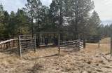 11813 Ridge Road - Photo 23
