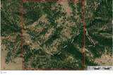 11813 Ridge Road - Photo 32
