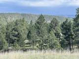 11813 Ridge Road - Photo 43