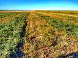 435 W Onion Creek Road - Photo 1