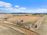 19480 Redwater Ranch Avenue - Photo 3