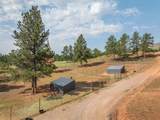 10209 Meadow Drive - Photo 11
