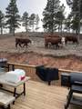 10209 Meadow Drive - Photo 30