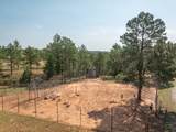10209 Meadow Drive - Photo 8