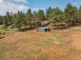 10209 Meadow Drive - Photo 32