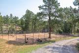 10209 Meadow Drive - Photo 9