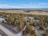 300 Pine Ridge Rd. - Photo 45