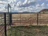 233 Redwater Road - Photo 14