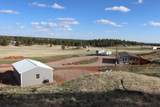 25518 Harriett Ward Road - Photo 37