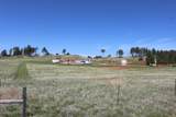 25518 Harriett Ward Road - Photo 39