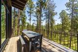 24472 Trackers Trail - Photo 11