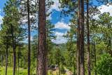 24472 Trackers Trail - Photo 12