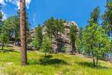 24472 Trackers Trail - Photo 14