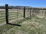10989 Little Elk Creek Road - Photo 47