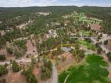 102 Sandpiper Drive - Photo 3