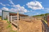 25442 Harriett Ward Road - Photo 28