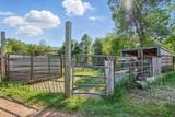 12315 Buffalo Berry Lane - Photo 33