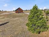 12590 Pine Shadows Road - Photo 45