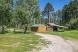 12777 Black Forest Road - Photo 9