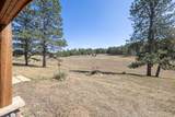 11935 Lone Elk Drive - Photo 16