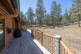 11935 Lone Elk Drive - Photo 44