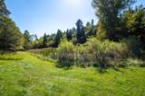 20766 Shirt Tail Gulch Road - Photo 31
