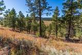 13604 Ghost Canyon Road - Photo 32