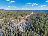 11177 Alpine Circle - Photo 43