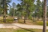 12354 Tin Cup Trail - Photo 31