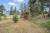 26896 Battle Mountain Parkway - Photo 44