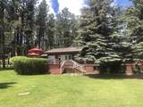 12776 Black Forest Road - Photo 1