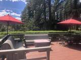 12776 Black Forest Road - Photo 3