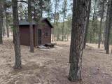 12776 Black Forest Road - Photo 31