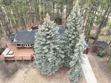 12776 Black Forest Road - Photo 35