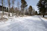 21179 Turkey Trail - Photo 3