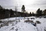 21163 Turkey Trail - Photo 6