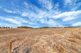 Lot 10 Lonesome Dove Street - Photo 13