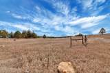 Lot 10 Lonesome Dove Street - Photo 16