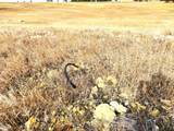 Lot 10 Lonesome Dove Street - Photo 20