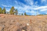 Lot 10 Lonesome Dove Street - Photo 21